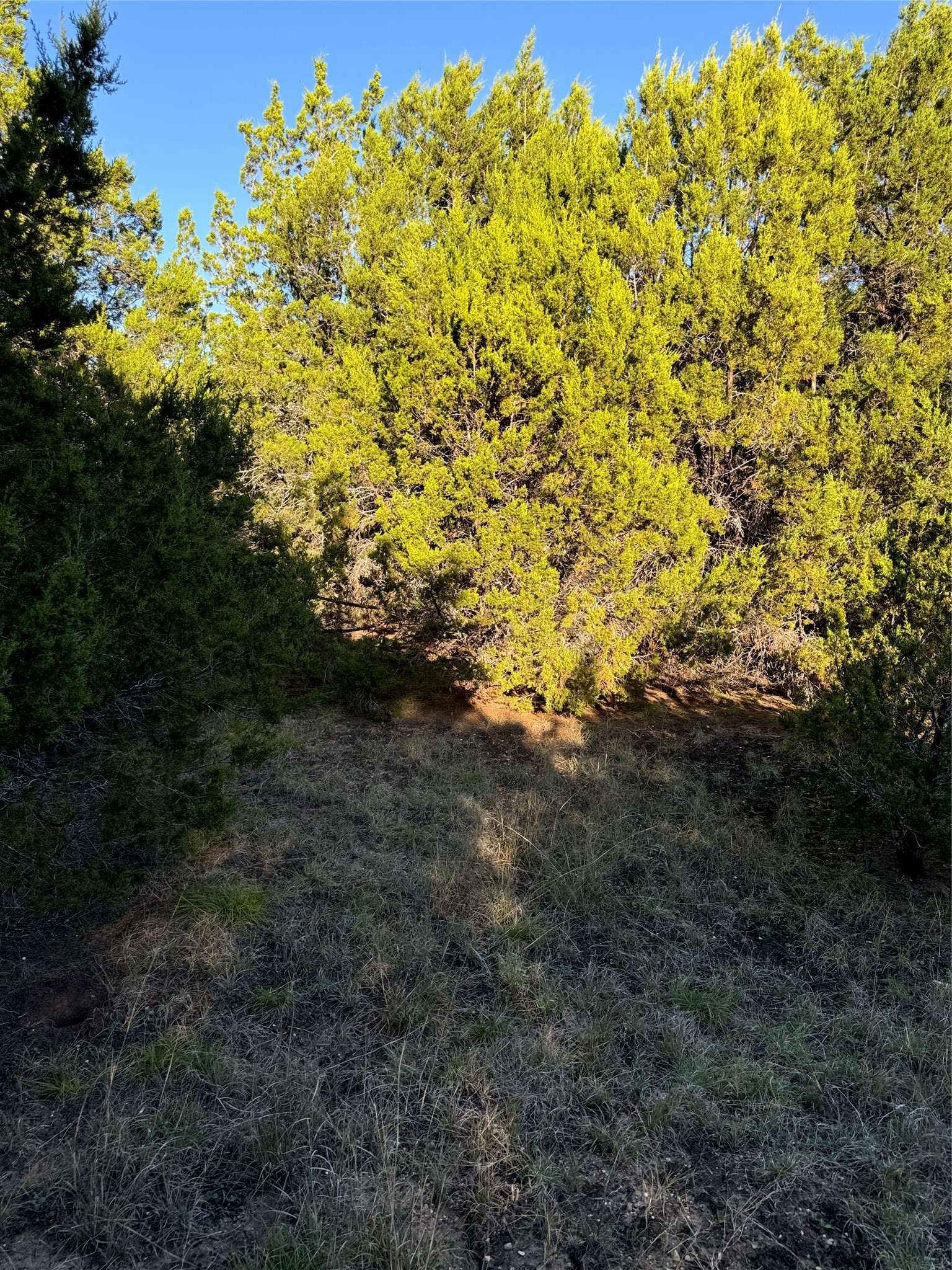 43002 Whisperwood Drive Whitney TX 76692