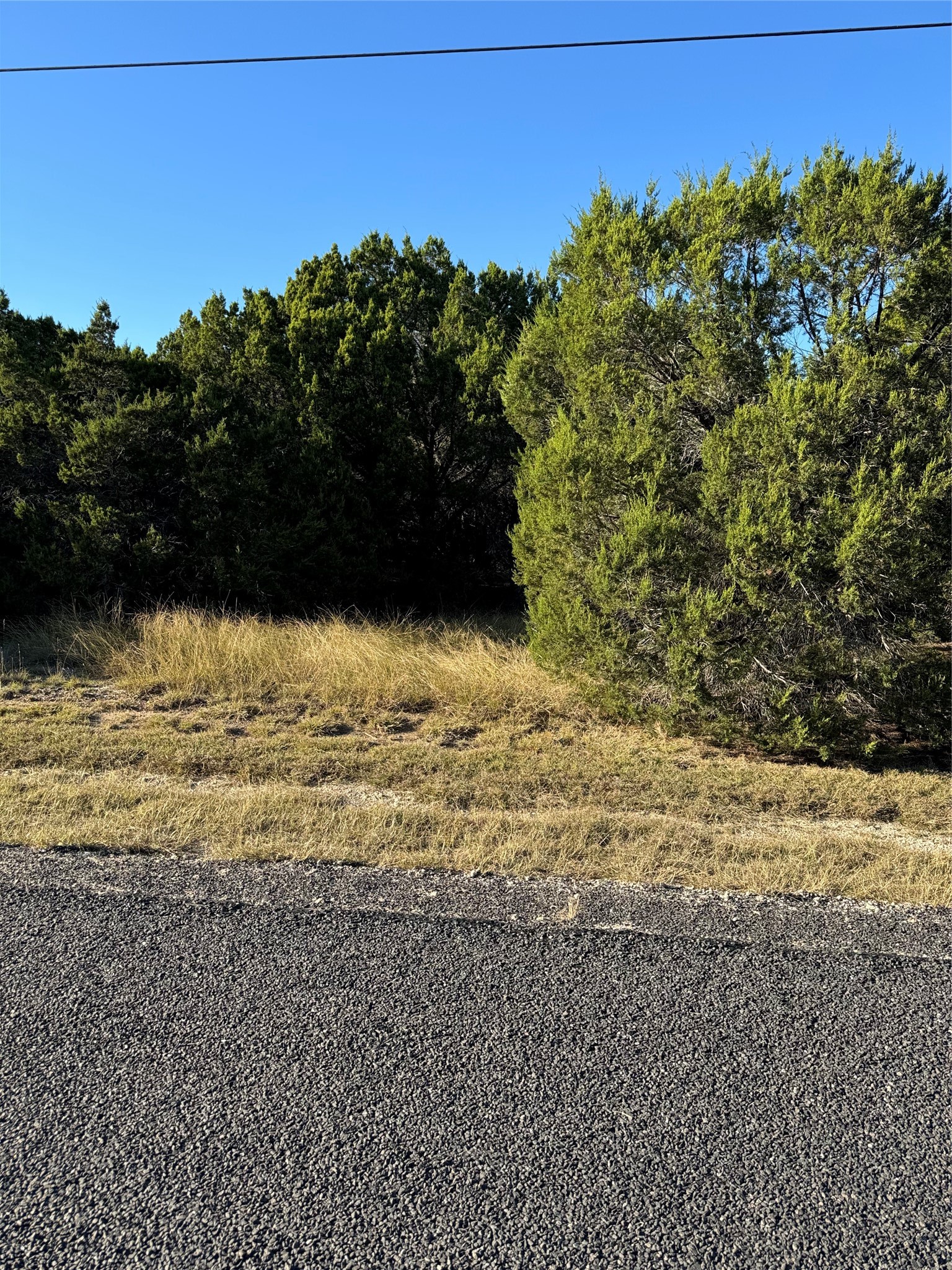 43002 Whisperwood Drive Whitney TX 76692