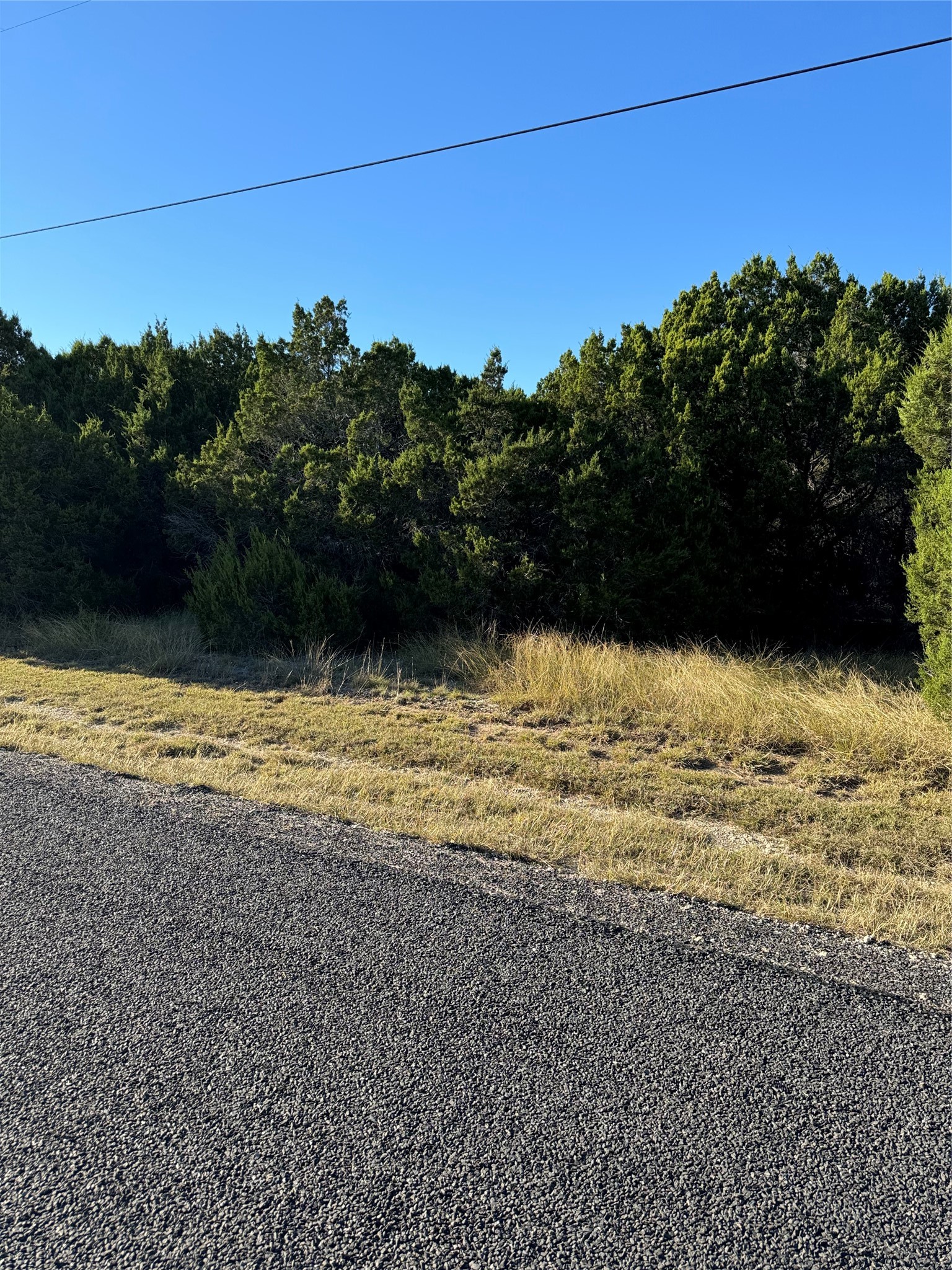 43002 Whisperwood Drive Whitney TX 76692