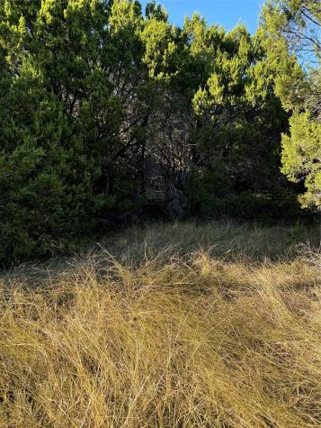 43002 Whisperwood Drive Whitney TX 76692