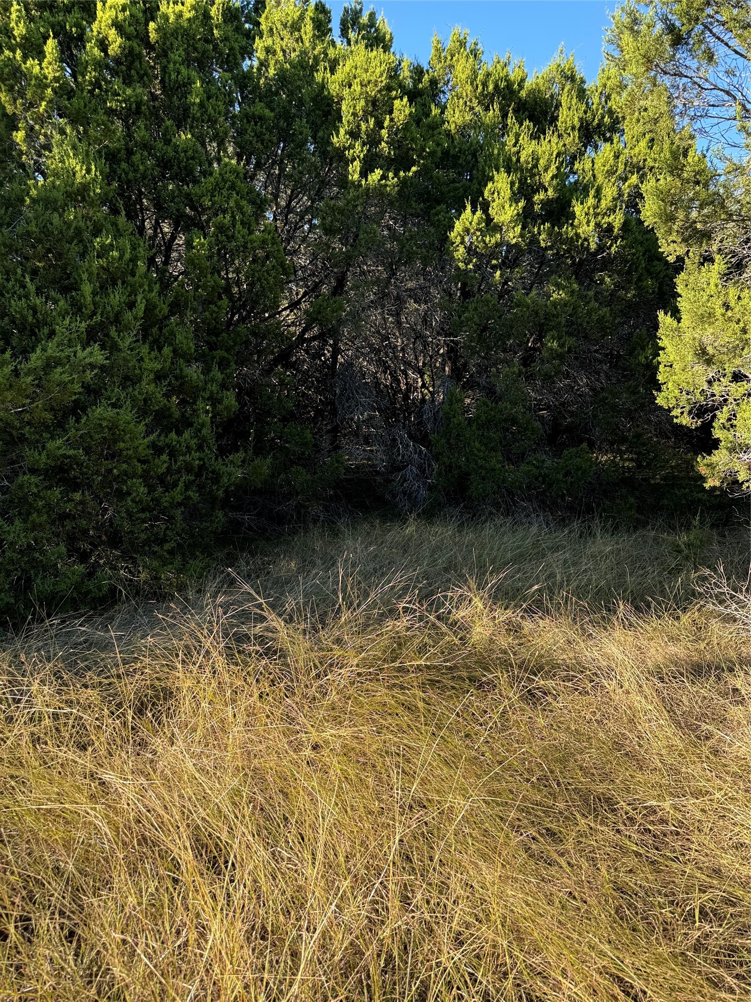 43002 Whisperwood Drive Whitney TX 76692