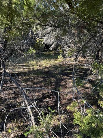 43002 Whisperwood Drive Whitney TX 76692