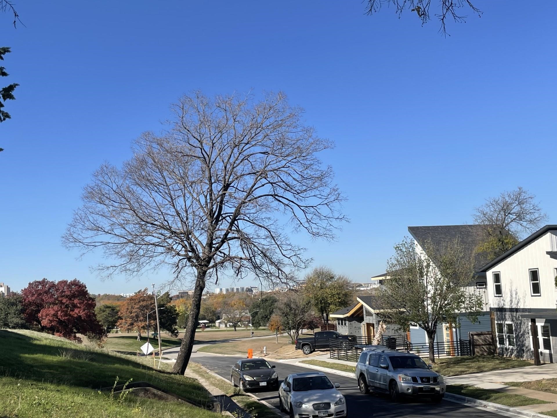 1254 E Magnolia Avenue Fort Worth TX 76104