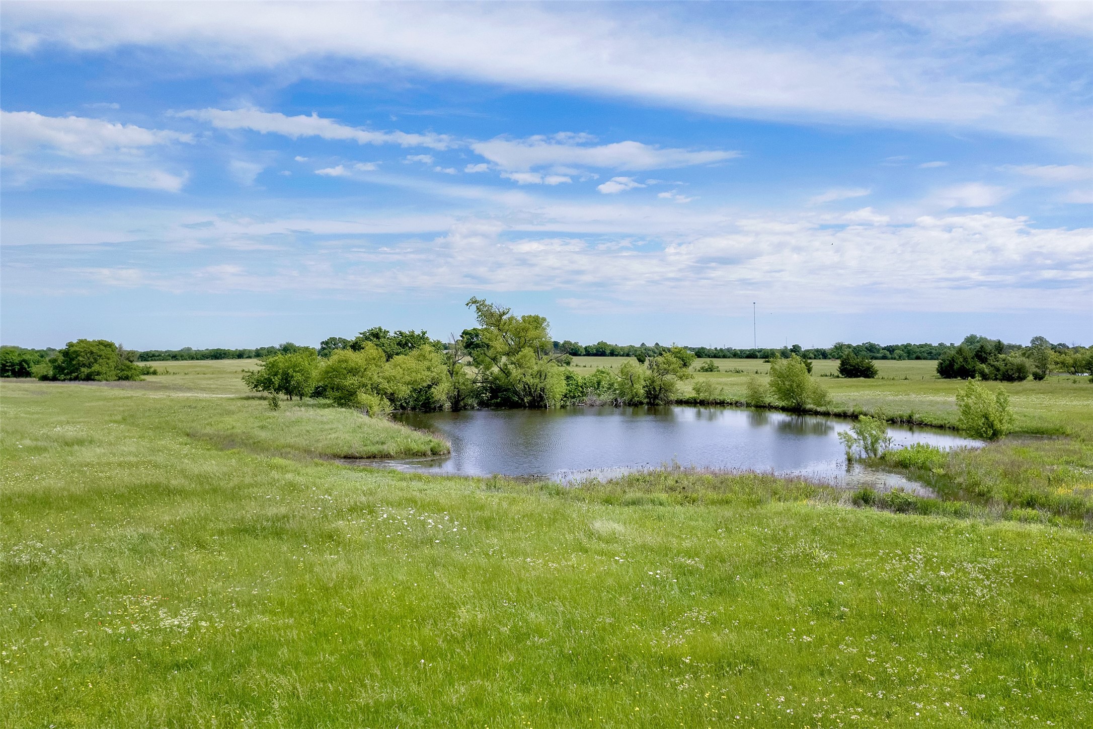 1132 County Road 1525 Ector TX 75439