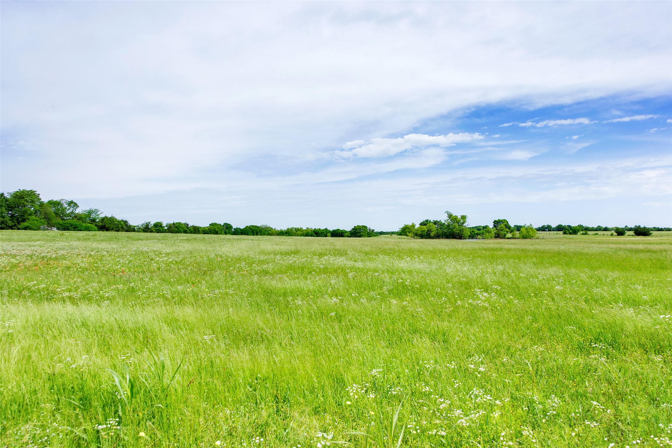 1132 County Road 1525 Ector TX 75439