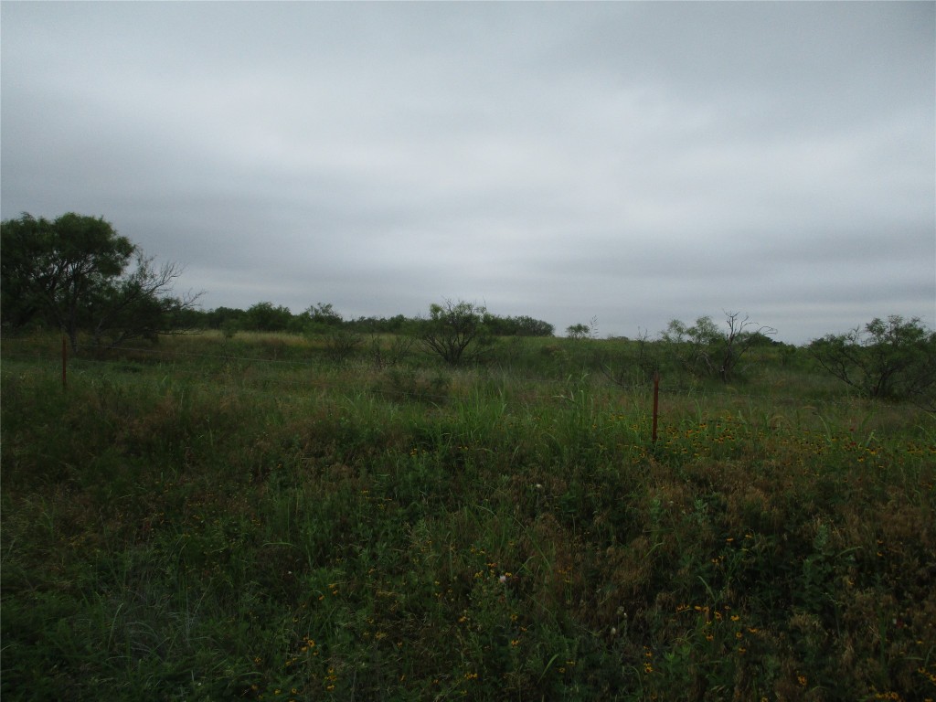 Lot 7 Old Joy Shannon Bluegrove TX 76352