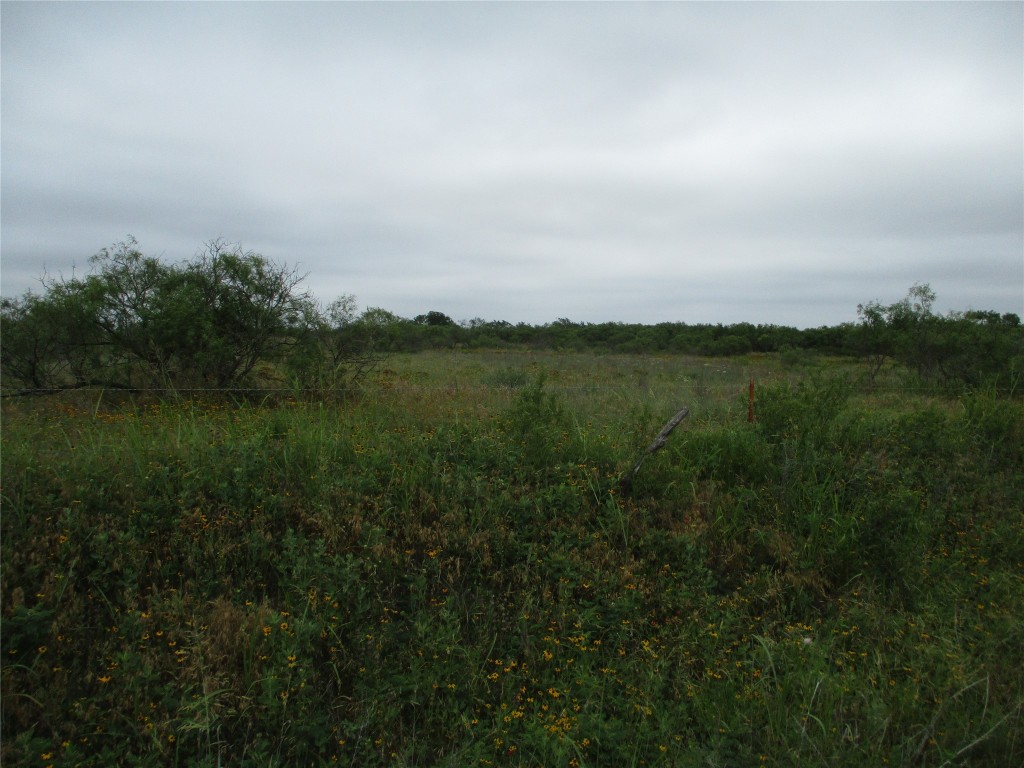 Lot 7 Old Joy Shannon Bluegrove TX 76352