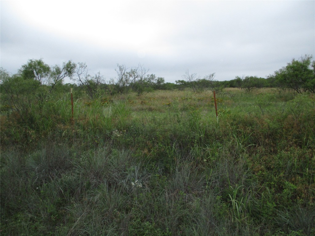 Lot 7 Old Joy Shannon Bluegrove TX 76352