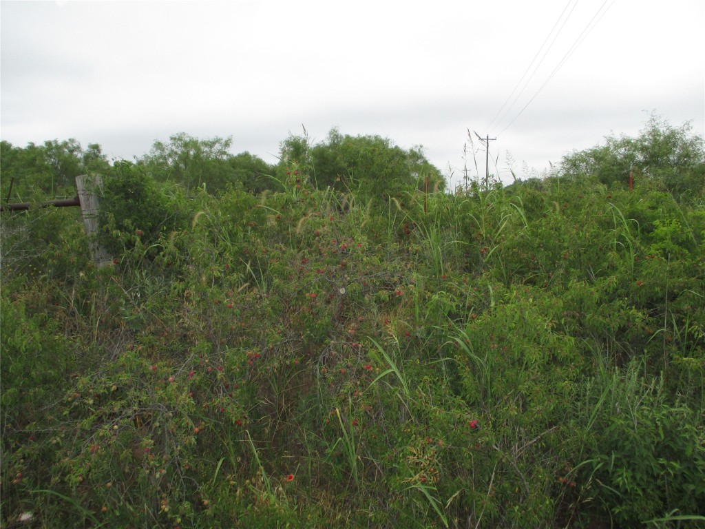 Lot 7 Old Joy Shannon Bluegrove TX 76352