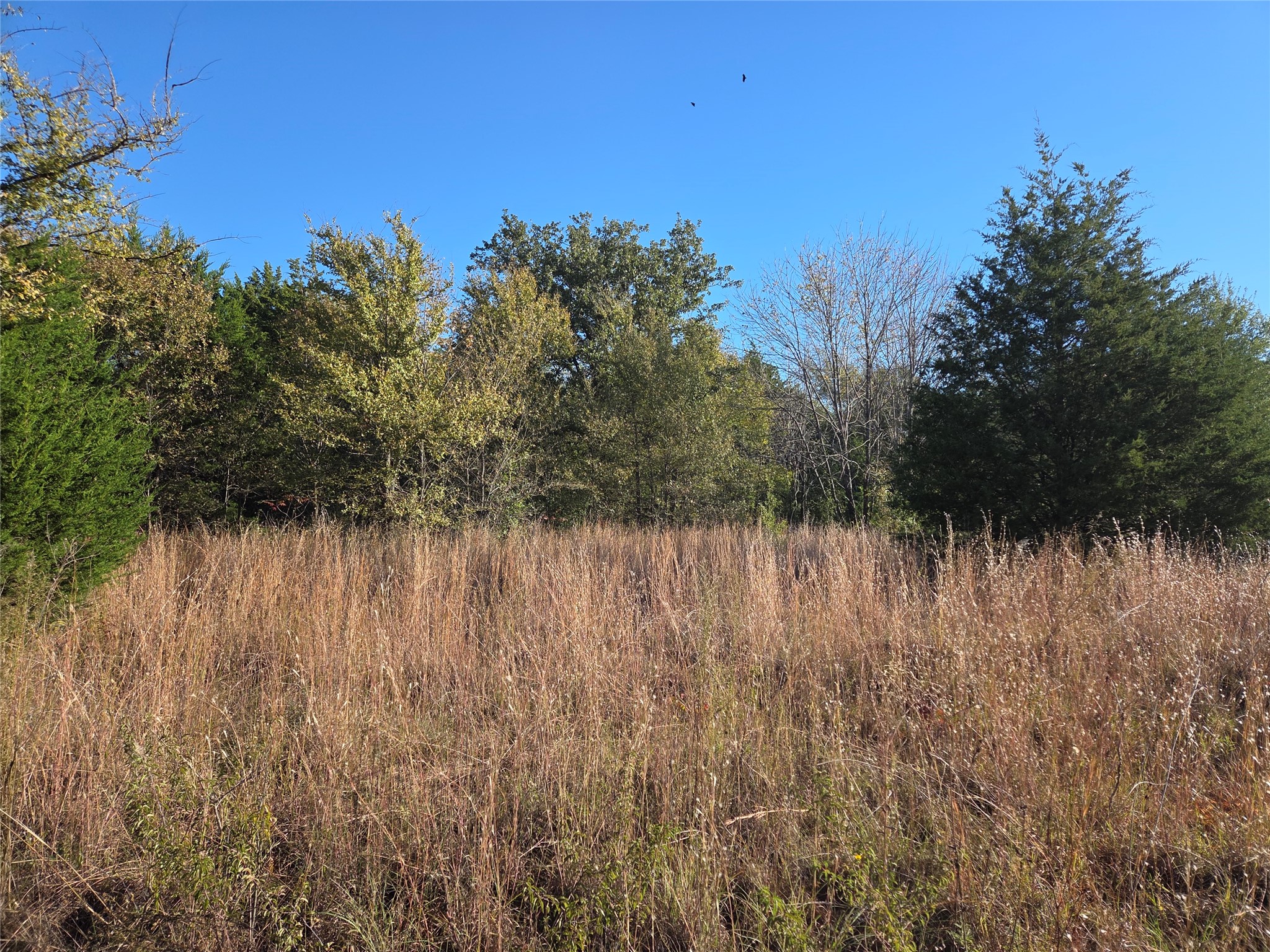 Lot 20 Sunrise W Corsicana TX 75109