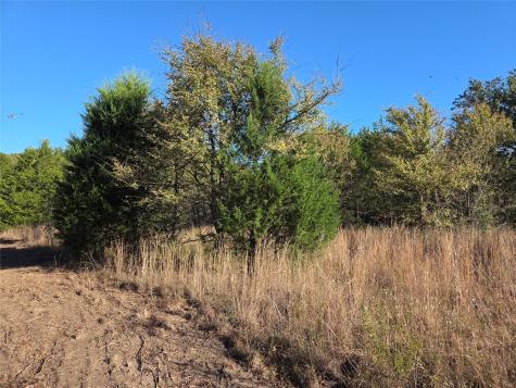 Lot 20 Sunrise W Corsicana TX 75109