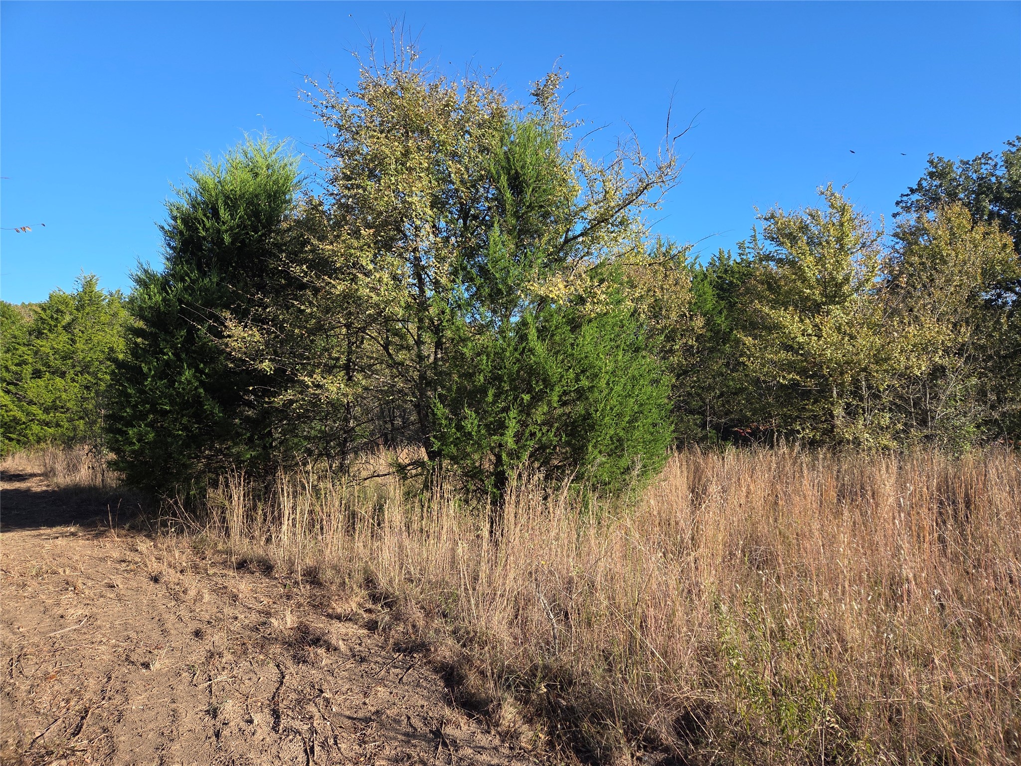 Lot 20 Sunrise W Corsicana TX 75109