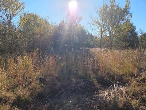 Lot 20 Sunrise W Corsicana TX 75109