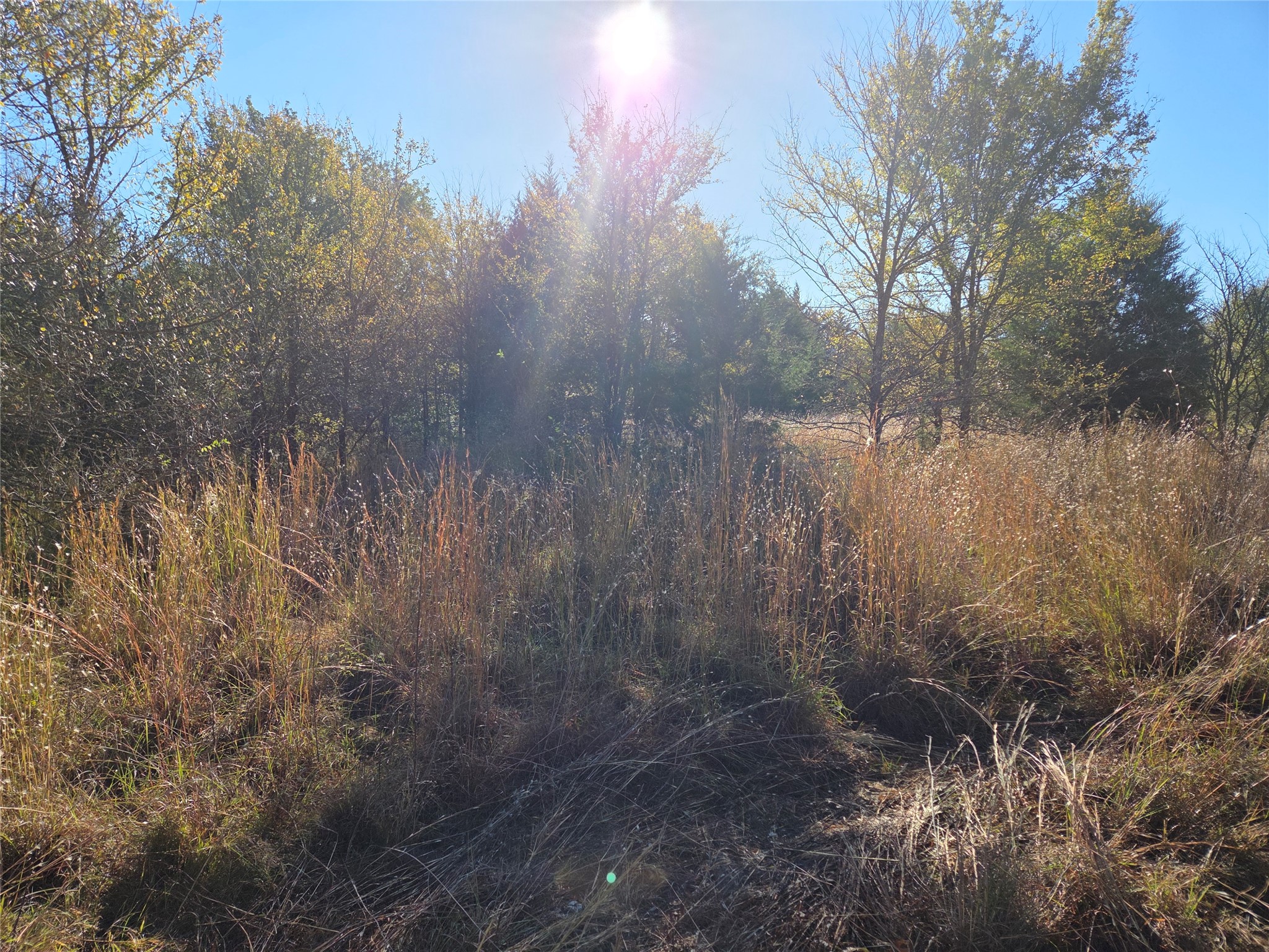 Lot 20 Sunrise W Corsicana TX 75109