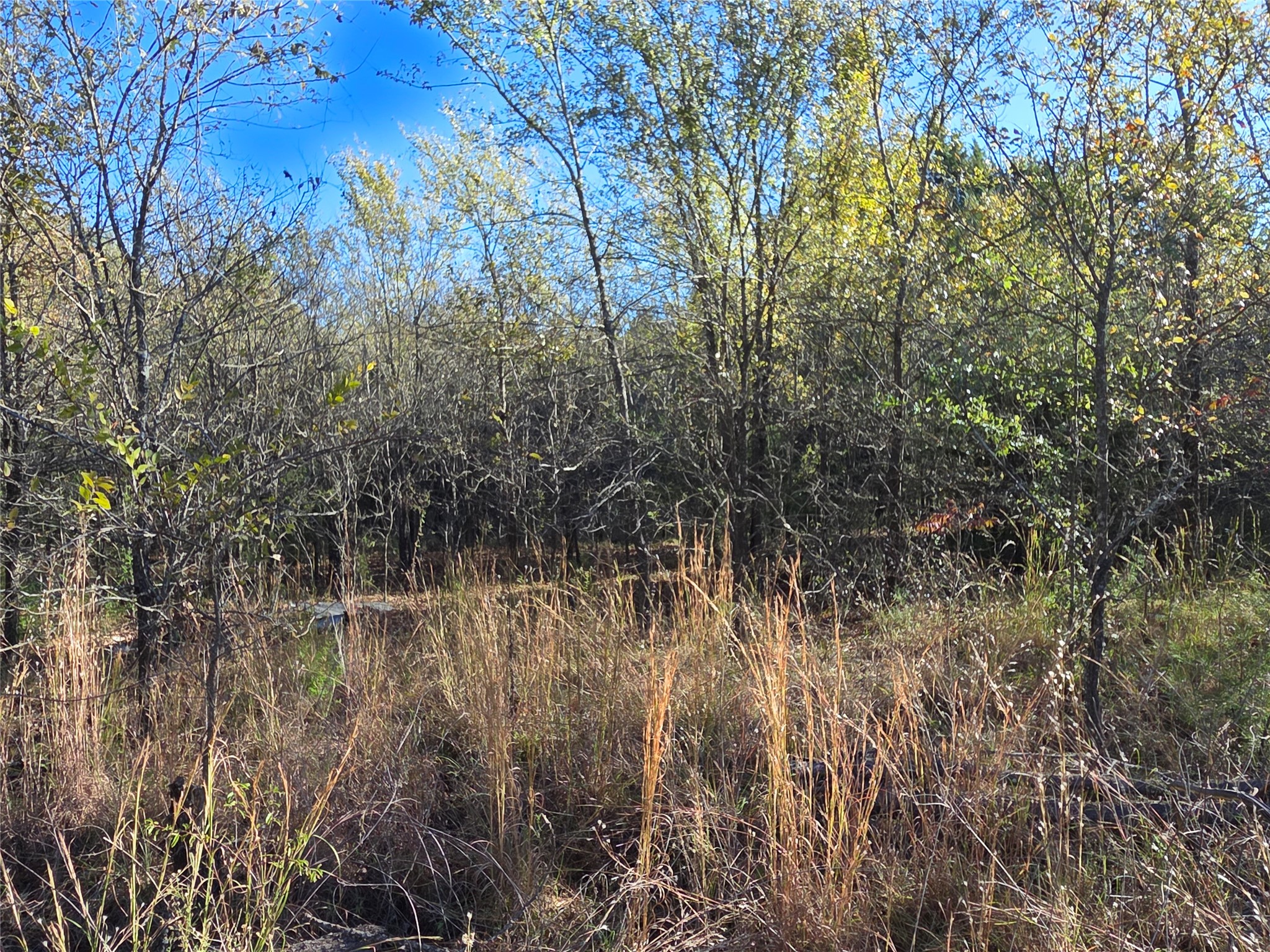 Lot 20 Sunrise W Corsicana TX 75109