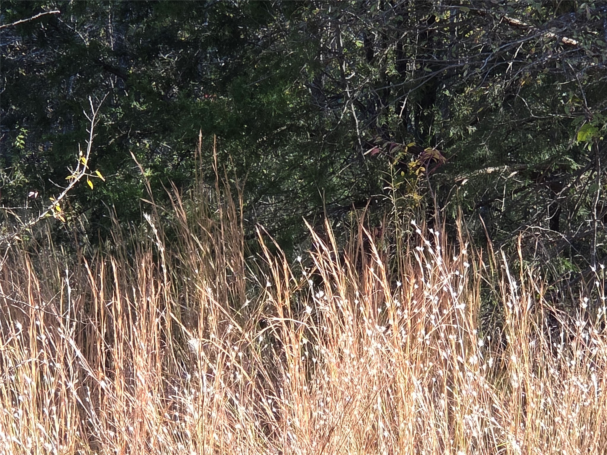 Lot 20 Sunrise W Corsicana TX 75109