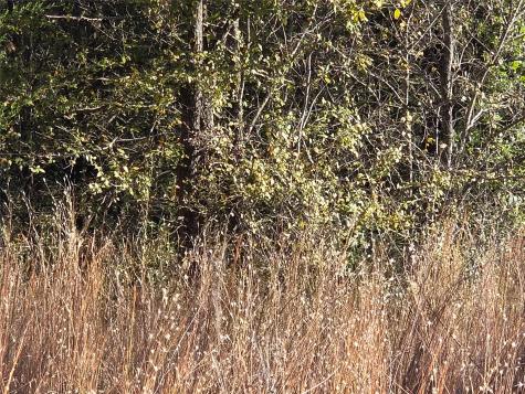 Lot 20 Sunrise W Corsicana TX 75109