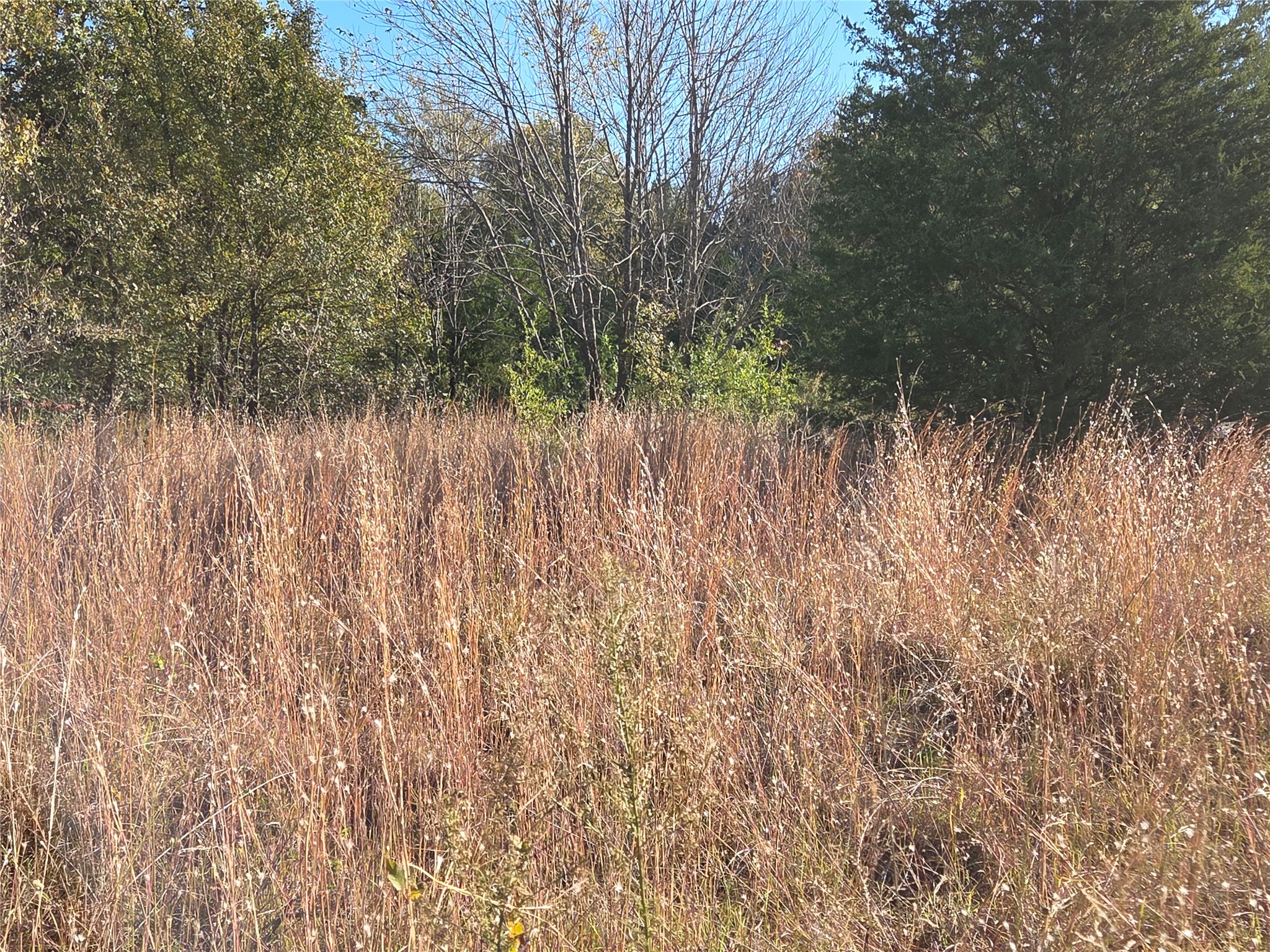 Lot 20 Sunrise W Corsicana TX 75109