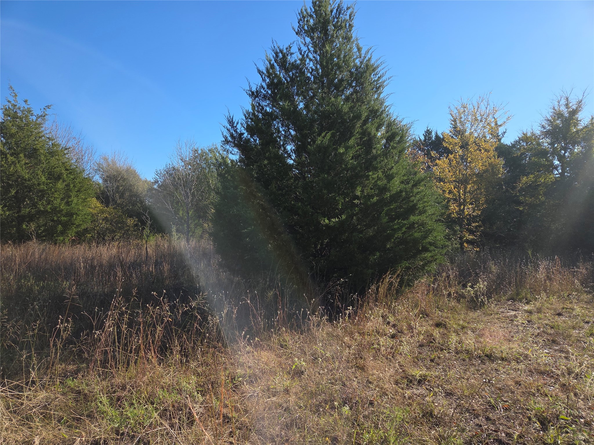 Lot 20 Sunrise W Corsicana TX 75109