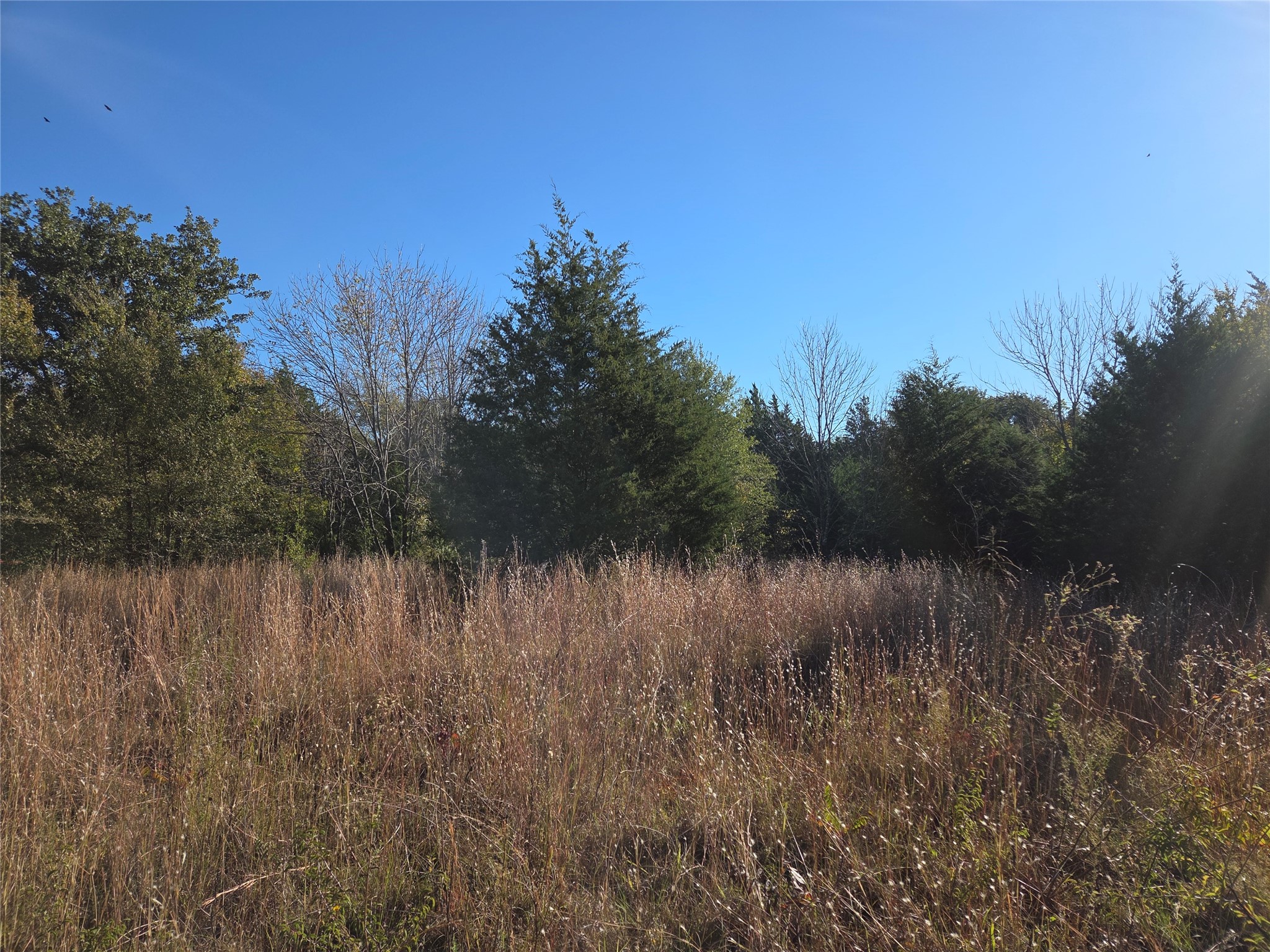 Lot 20 Sunrise W Corsicana TX 75109