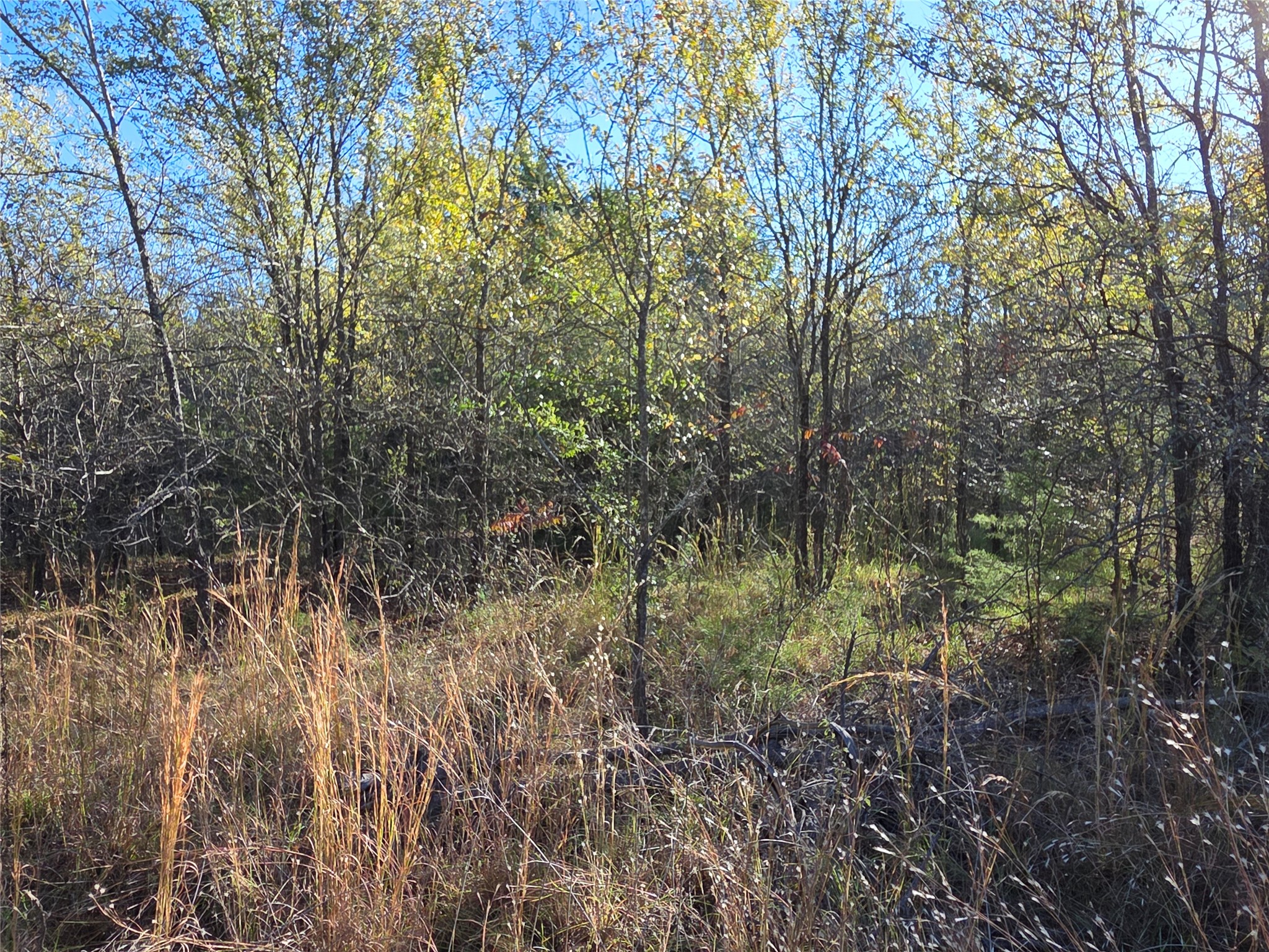 Lot 20 Sunrise W Corsicana TX 75109