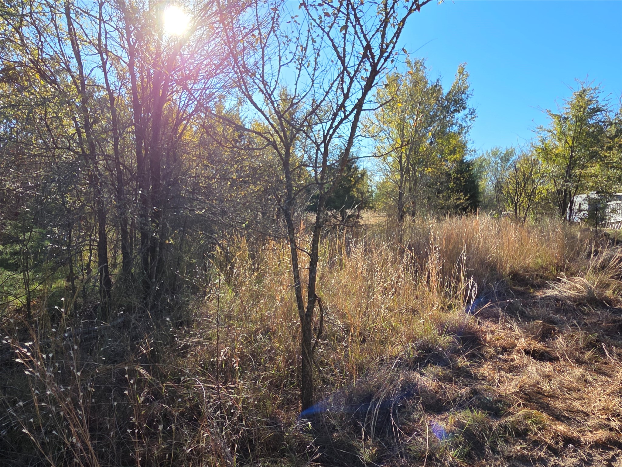 Lot 20 Sunrise W Corsicana TX 75109