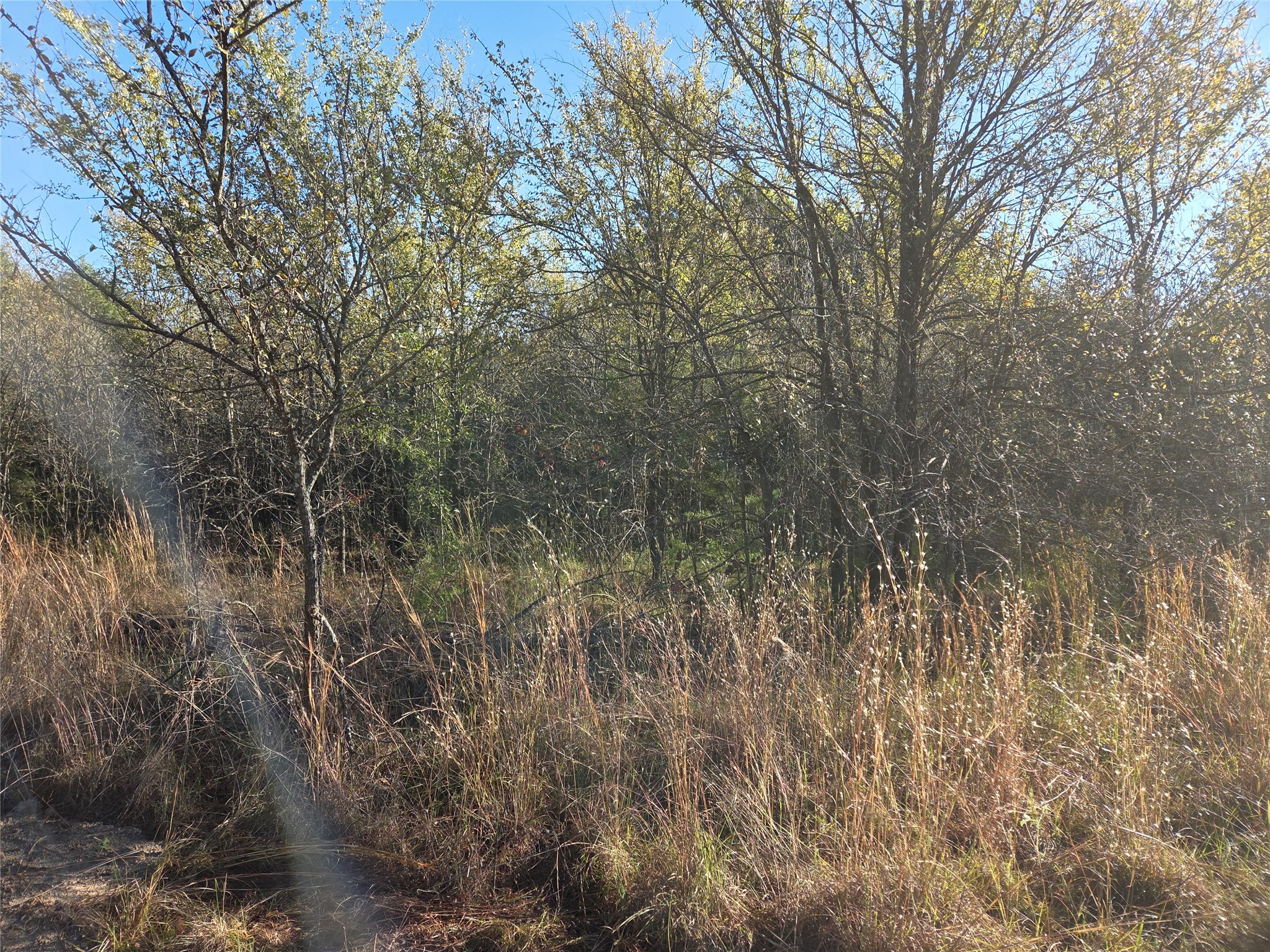 Lot 20 Sunrise W Corsicana TX 75109