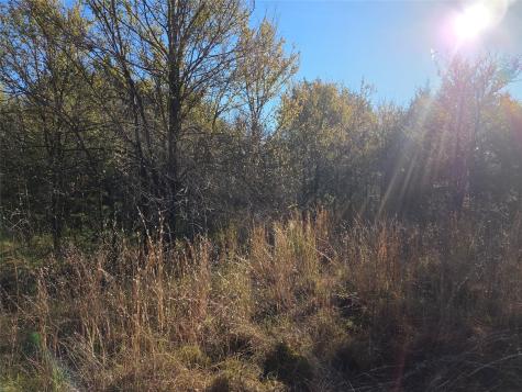 Lot 20 Sunrise W Corsicana TX 75109
