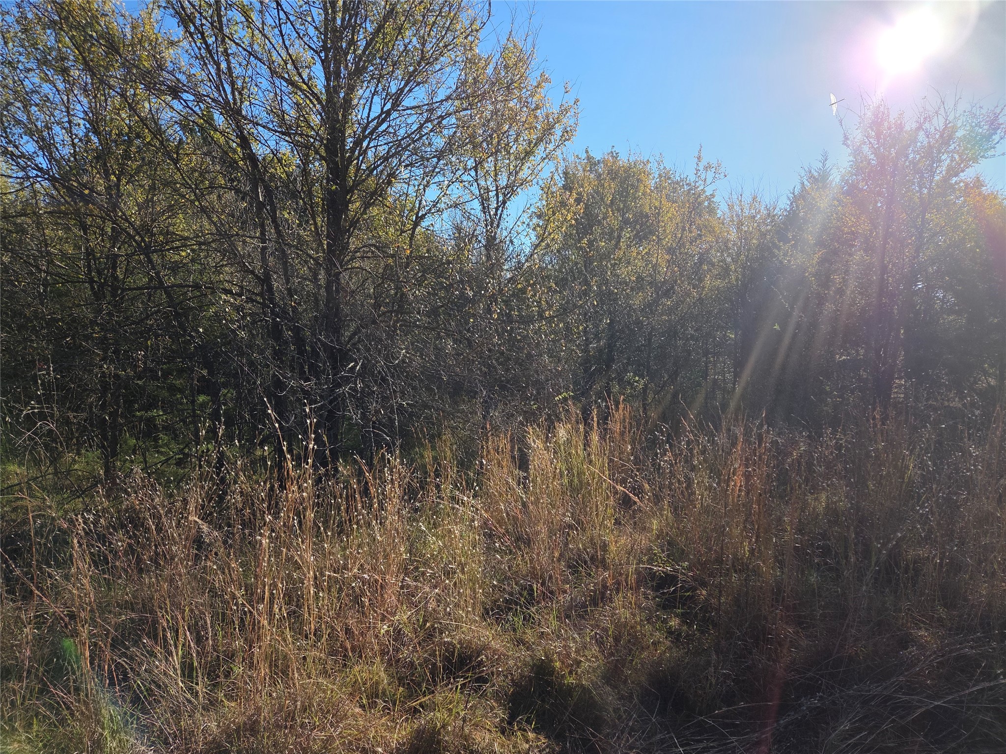 Lot 20 Sunrise W Corsicana TX 75109