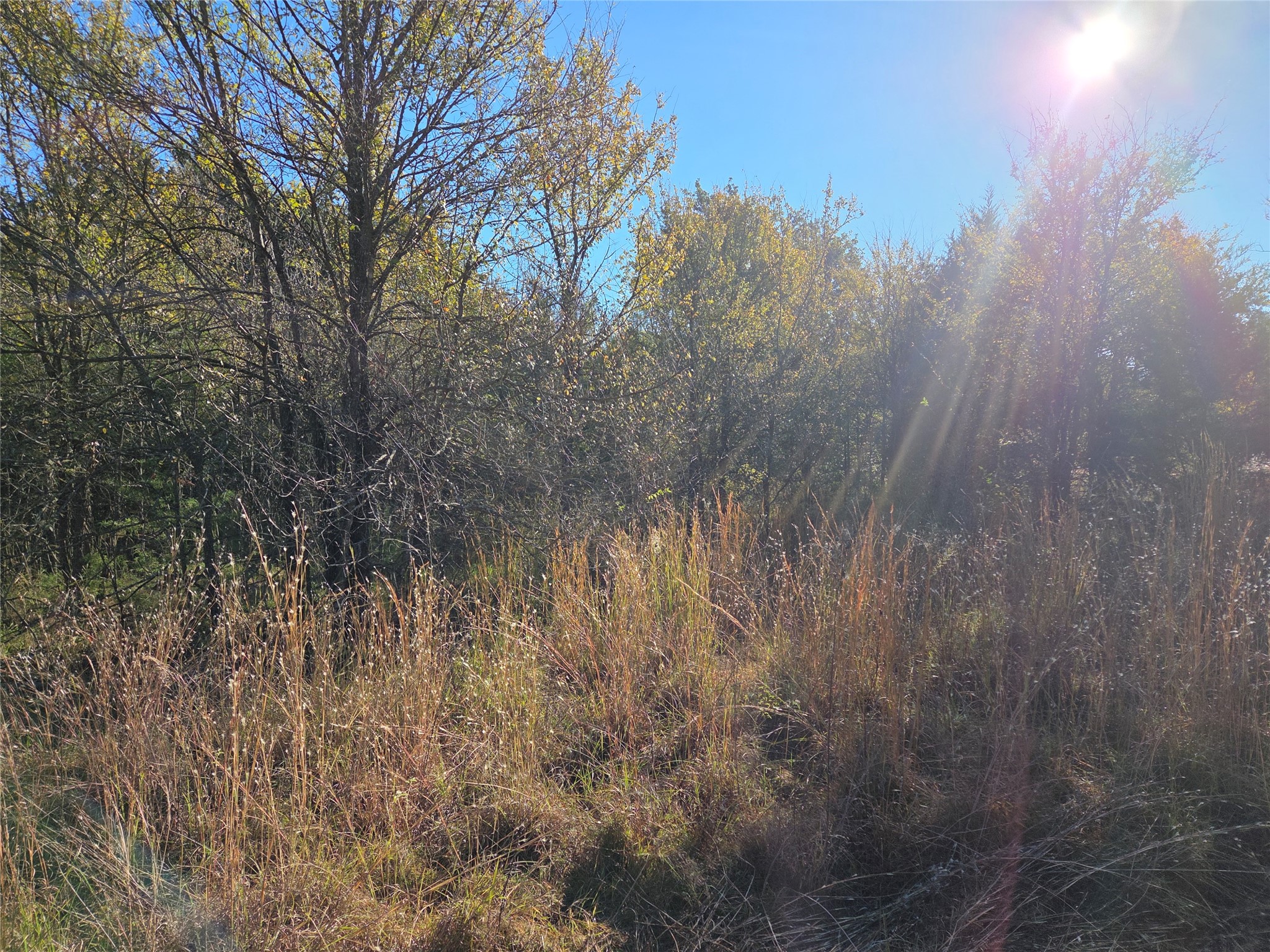 Lot 20 Sunrise W Corsicana TX 75109