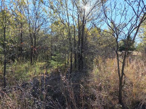 Lot 20 Sunrise W Corsicana TX 75109