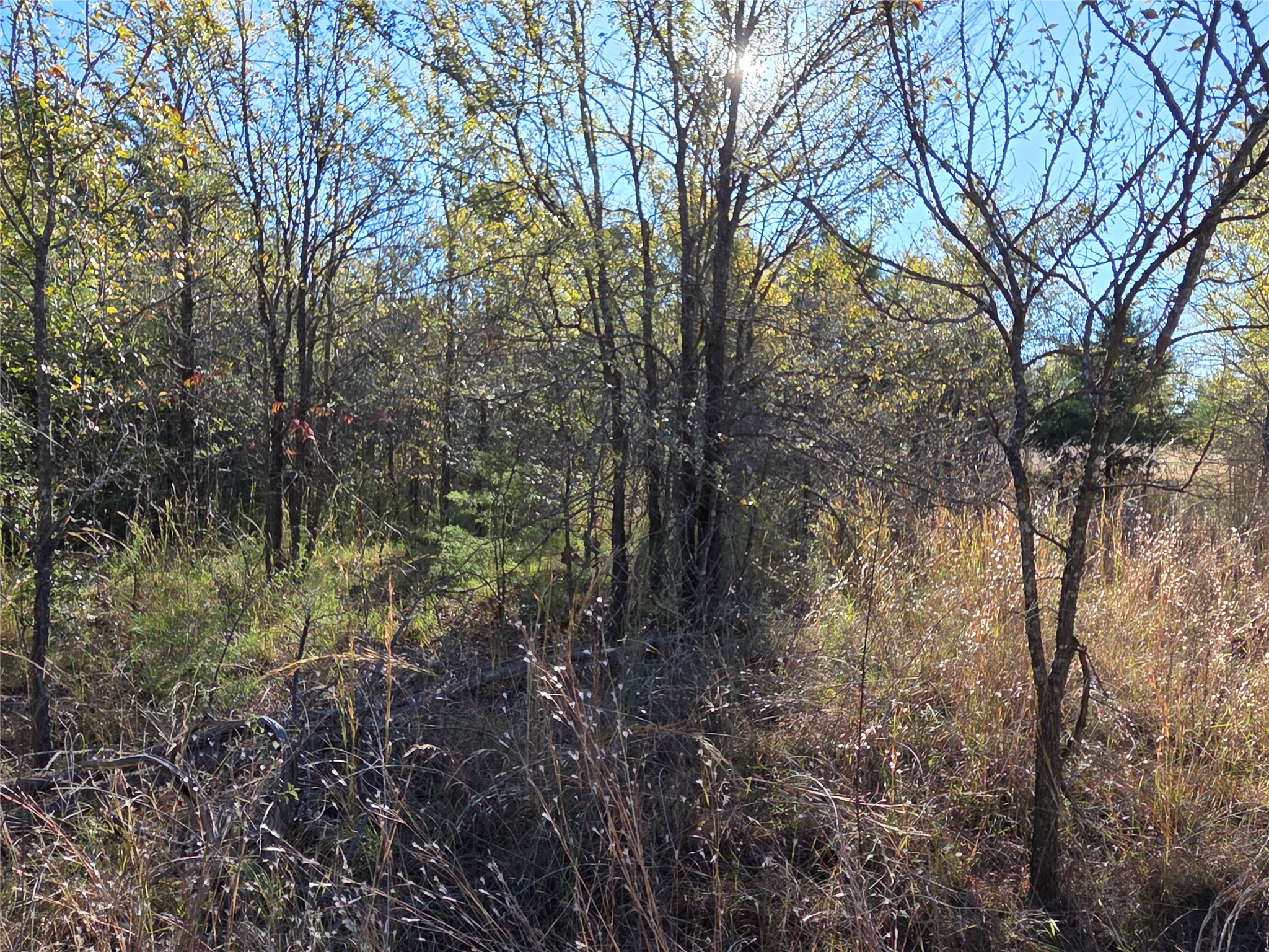 Lot 20 Sunrise W Corsicana TX 75109