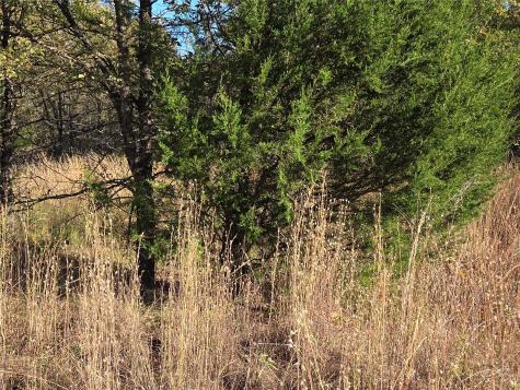 Lot 20 Sunrise W Corsicana TX 75109