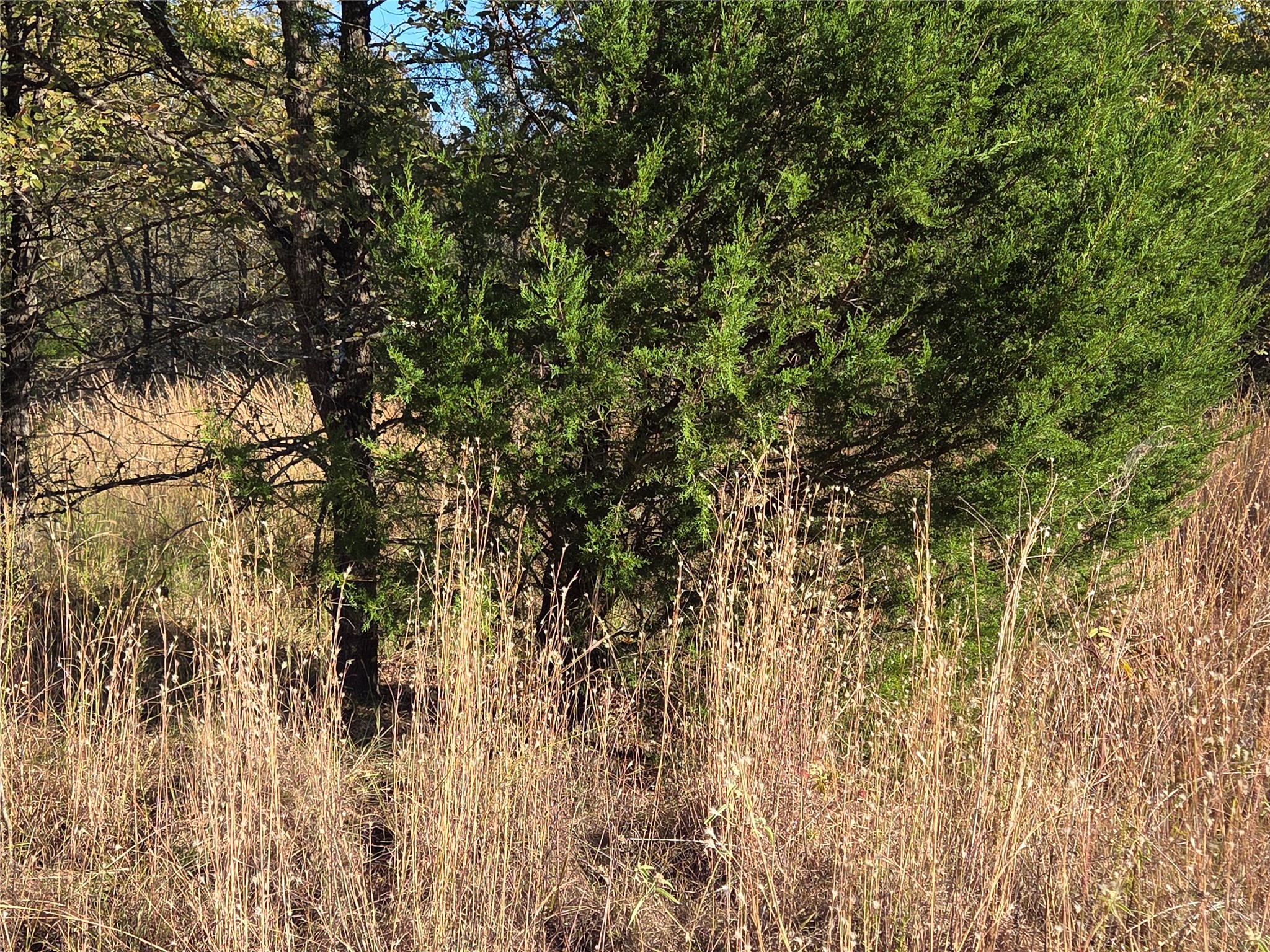 Lot 20 Sunrise W Corsicana TX 75109