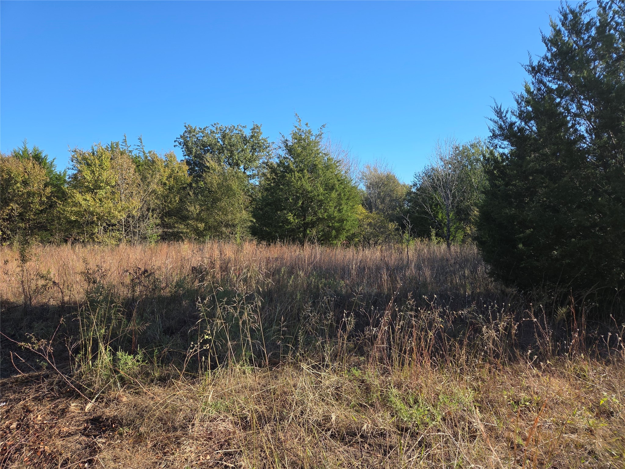 Lot 20 Sunrise W Corsicana TX 75109