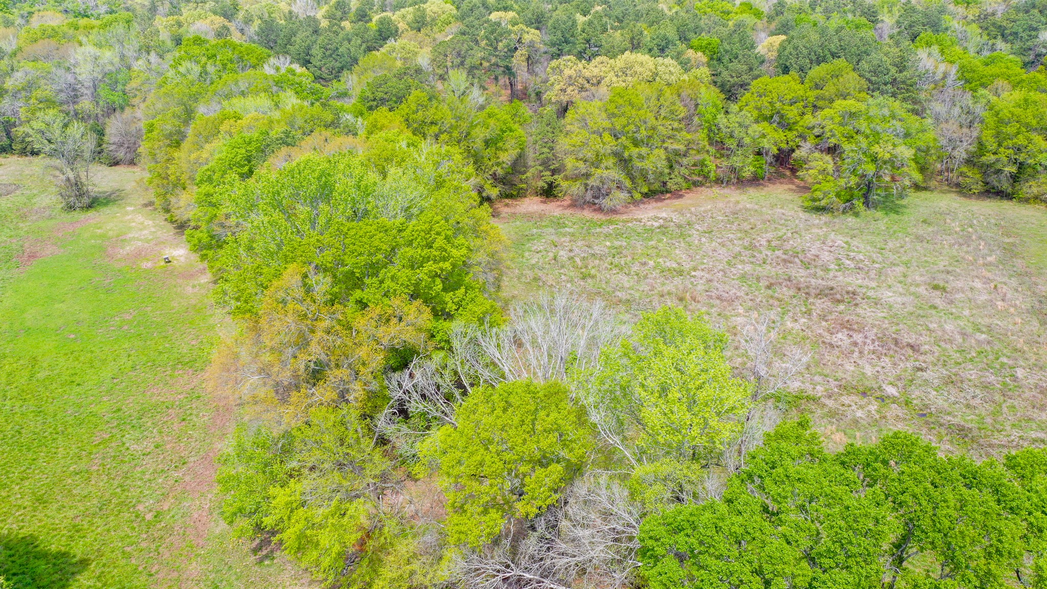 00 Fm 315 Larue TX 75770