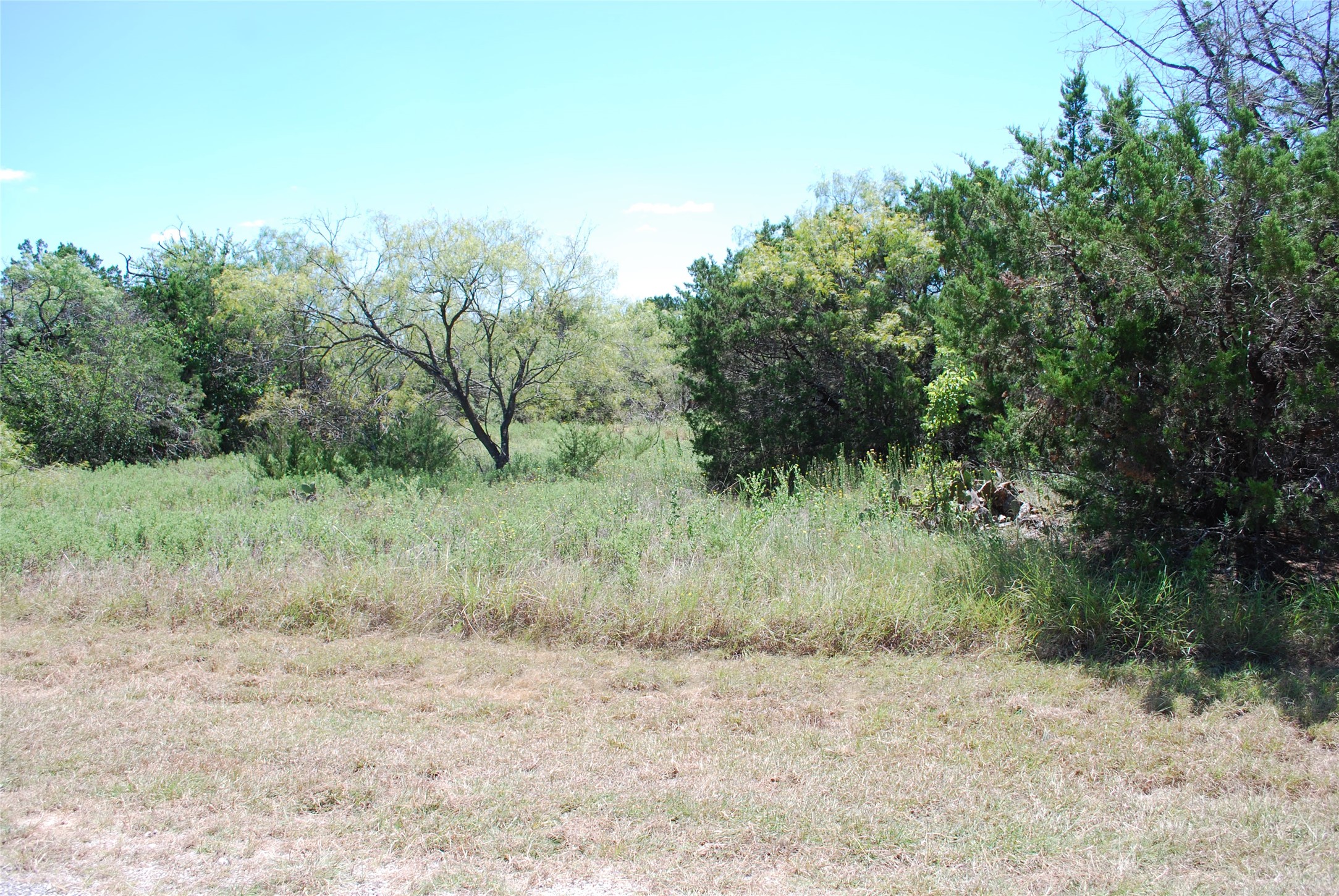 43131 Mountain Sage Drive Whitney TX 76692