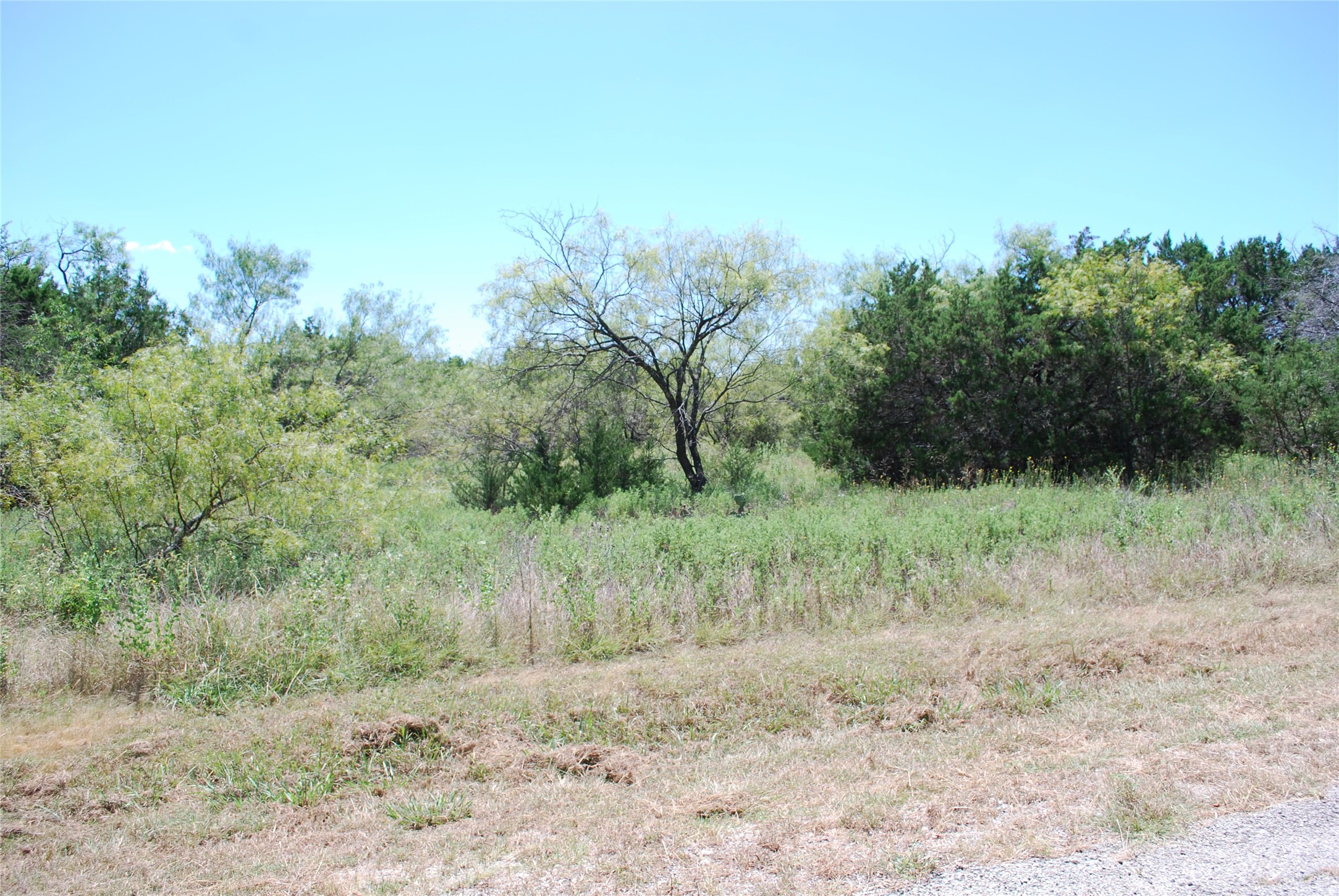 43131 Mountain Sage Drive Whitney TX 76692