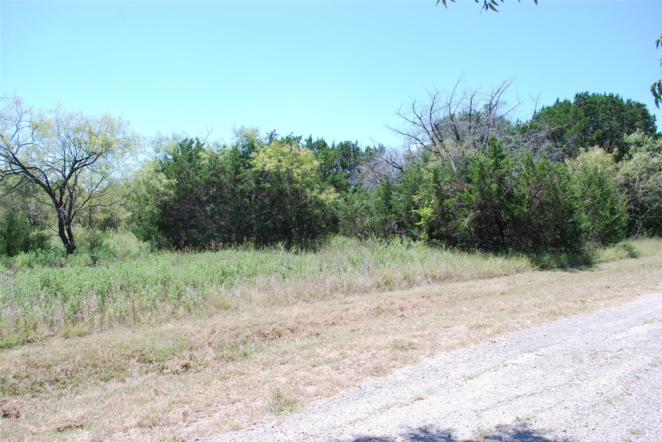 43131 Mountain Sage Drive Whitney TX 76692
