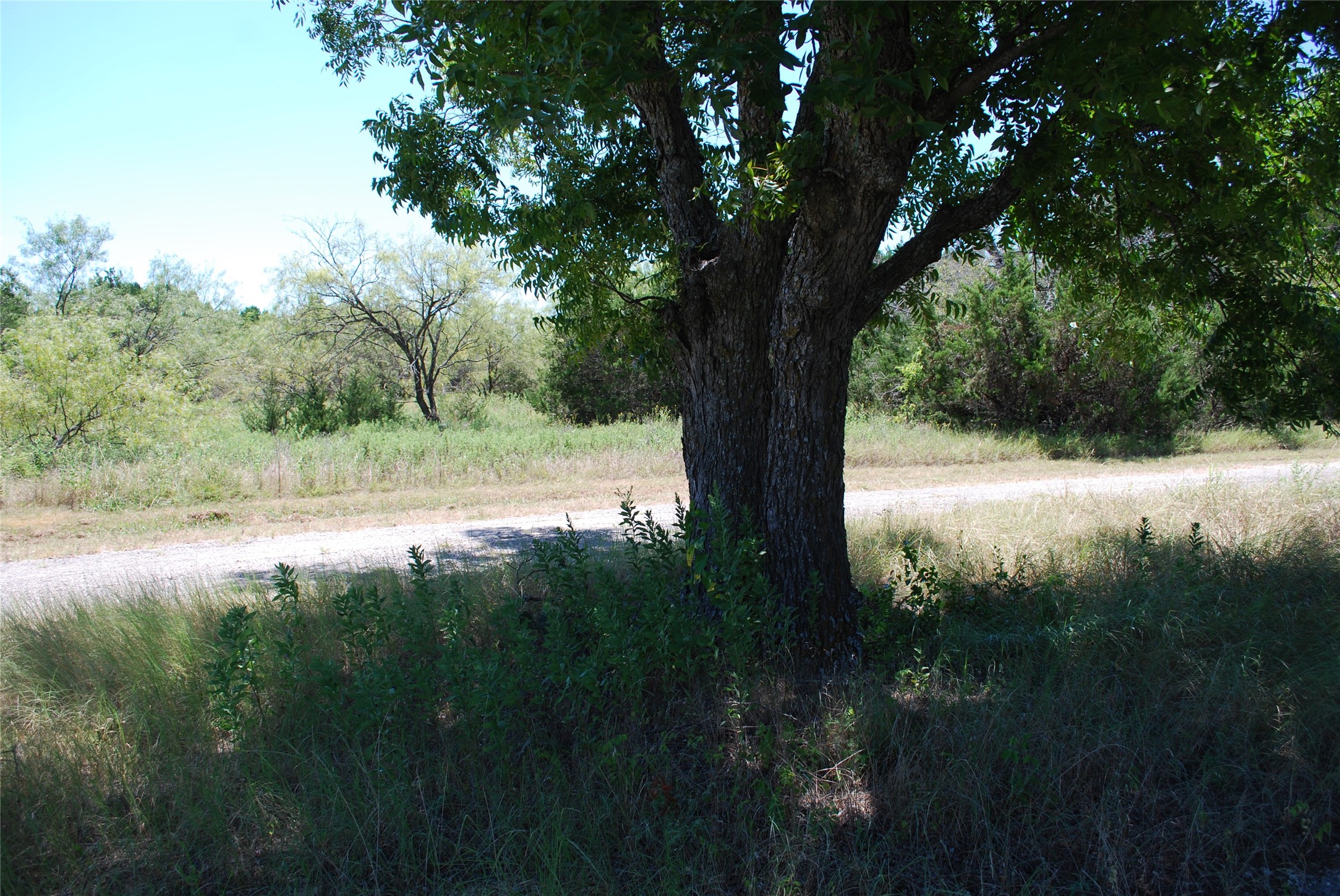 43131 Mountain Sage Drive Whitney TX 76692