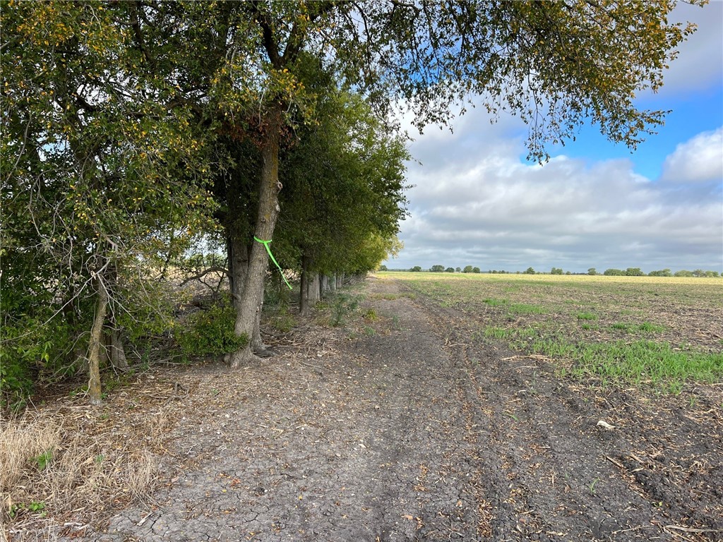Tbd Cr 117 Road Rogers TX 76569