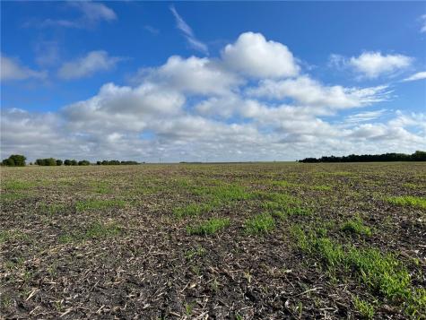 Tbd Cr 117 Road Rogers TX 76569