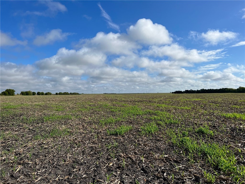 Tbd Cr 117 Road Rogers TX 76569