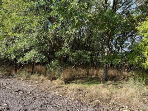 Tbd Cr 117 Road Rogers TX 76569