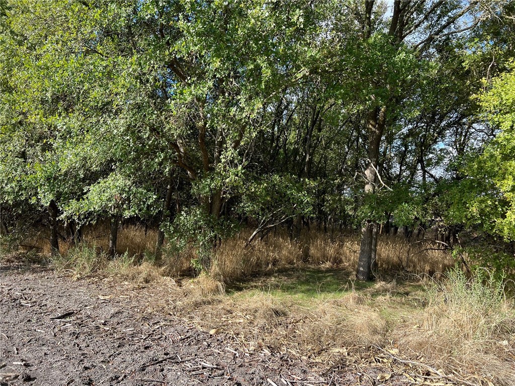 Tbd Cr 117 Road Rogers TX 76569