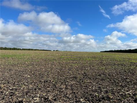 Tbd Cr 117 Road Rogers TX 76569