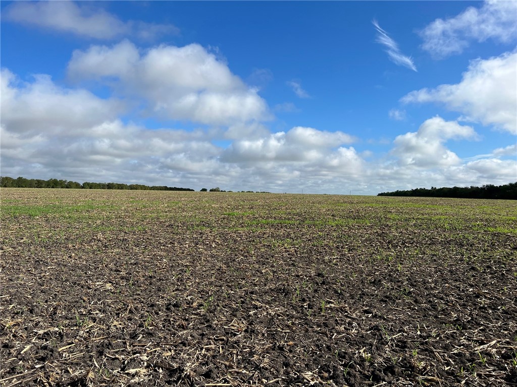 Tbd Cr 117 Road Rogers TX 76569