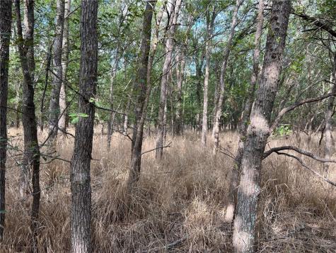Tbd Cr 117 Road Rogers TX 76569