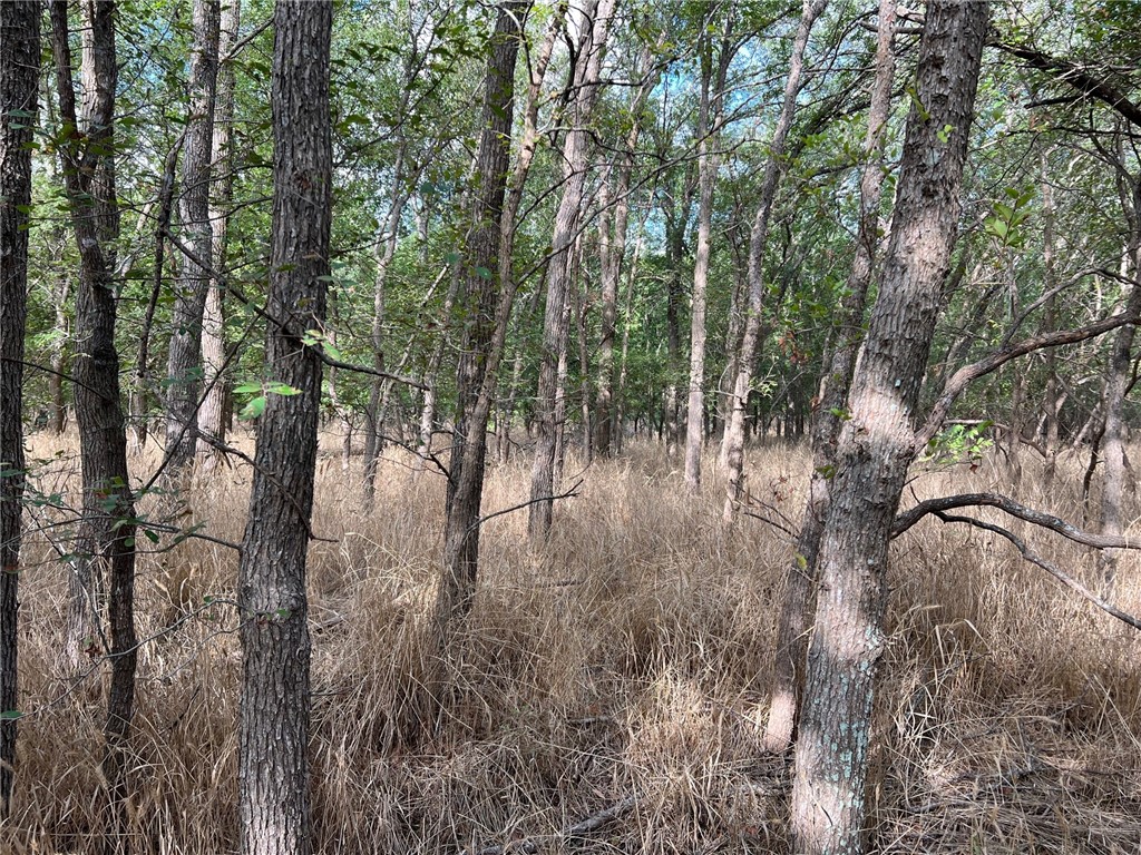 Tbd Cr 117 Road Rogers TX 76569