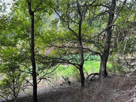 Tbd Cr 117 Road Rogers TX 76569